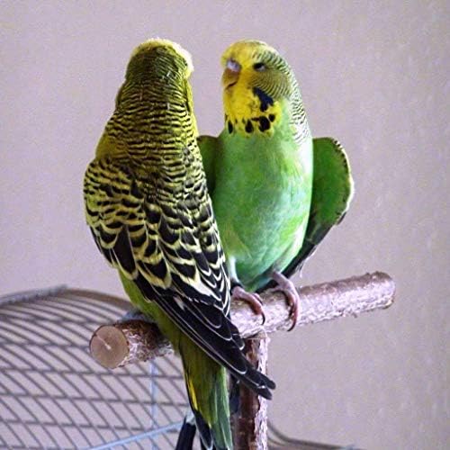 jınetor Kuş Papağan Kafesi Oyuncaklar Eğitim T Levrek Taşlama Çiğneme Parakeet Doğal Ahşap Standı Oyuncak