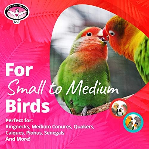 Süper Kuş Kreasyonları SB949 Renkli Kağıt Parçalama, Orta Boy, 5” x 3” x 7.5”ile Cep Toplama Kuş Oyuncak Toplama