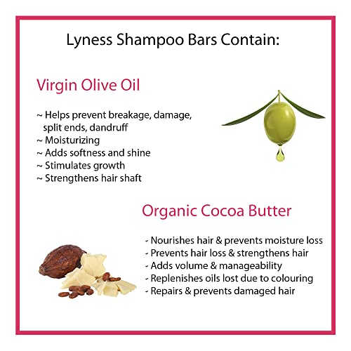 Lyn Blueberry Şampuan Çubuğu | Organik ve Doğal | Çevre Dostu, Plastiksiz | Zengin Köpük / Yeniden Kullanılabilir Teneke Kutu