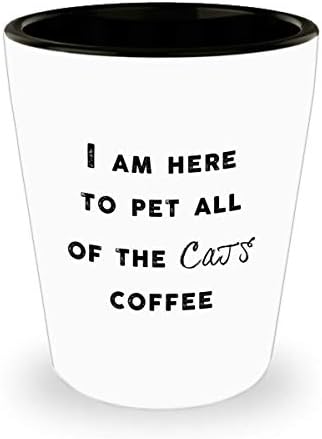 mug shot glasses-Herkesi evcilleştirmek için buradayım-komik kedi hediyeleri