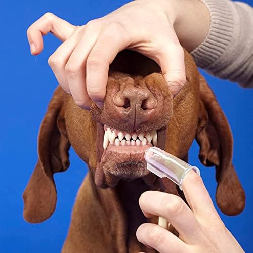 RCY-T Evcil Hayvanlar En Yumuşak Kıl Köpek Diş Fırçası Küçük ve Büyük Dişler için Ekstra Büyük Uzun Çift Taraflı, Köpek Kedi