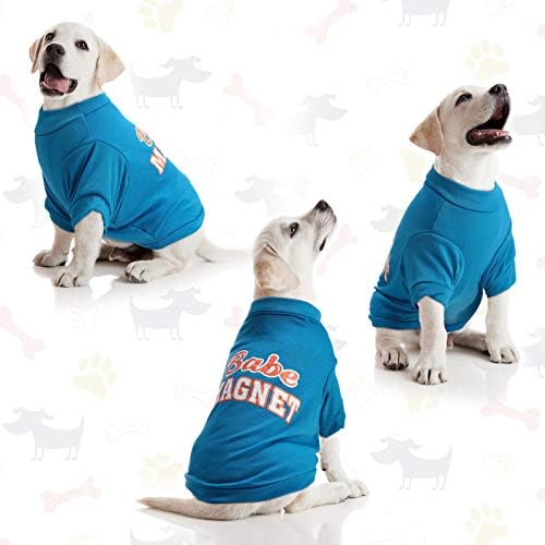 8 Parça Yaz Köpek T-Shirt Sevimli Köpek Gömlek Nefes Köpek Kazak Renkli Pet Giyim Giysi için Köpek ve Kedi Giyim, 8 Stilleri(