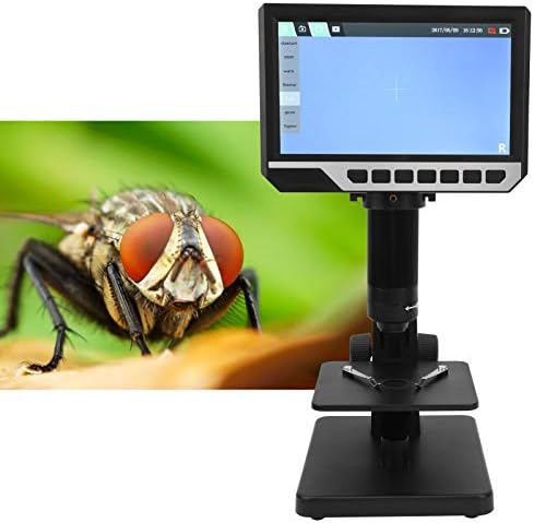 Gfnxk 7in Yüksek Çözünürlüklü Ekran, LED dolgu ışıkları Windows,2000X Endüstriyel Dijital Mikroskop, Devre Tamir için