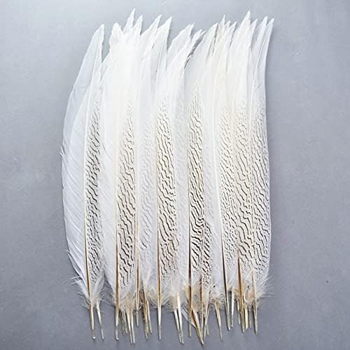 Pumcraft DIY Takı Doğal Gümüş Sülün Kuyruk Tüyleri 10-80 CM Beyaz Sülün Tüyleri Zanaat DIY Jewelrys Kostüm Gümüş Tavuk Tüyleri