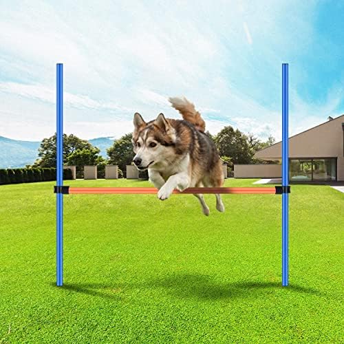PAWİSE Köpek Çeviklik Egzersiz Eğitim Ekipmanları Pet Ayarlanabilir Yükseklik Atlama Halkası Köpek Engel Kursu Interaktif Köpek