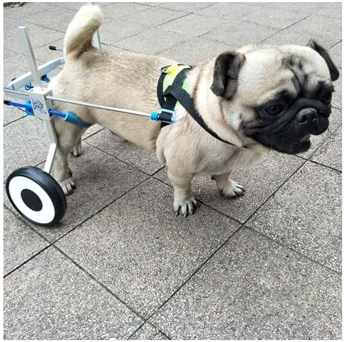 SXFYGYQ Ayarlanabilir Köpek Tekerlekli Sandalye, arka Bacak Rehabilitasyon Engelli Küçük Köpek / Köpek / Köpek 2 Tekerlekler