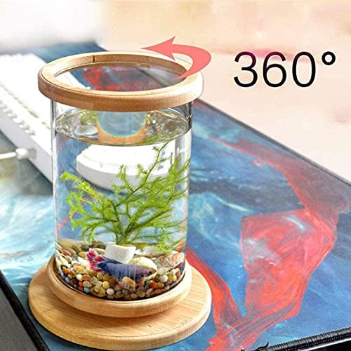 Masaüstü Dönen Akvaryum, yaratıcı Mikro-Silindir Mini LED Balık Tankı Ekolojik Bitki Şişe Süs Peyzaj için Gişe çay masası Dekor
