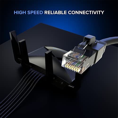 CAT6 Ethernet Kablosu 100 ft Yüksek Hızlı İnternet Ağı LAN Patch Kablo Kablosu-2 Paket (100 feet, Siyah)
