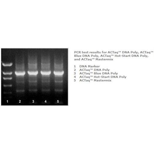 ACTGene E2200B-1000U ACTaq Uzun DNA Polimeraz, 1000 Ünite / Şişe